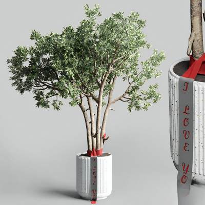 现代植物盆栽-22